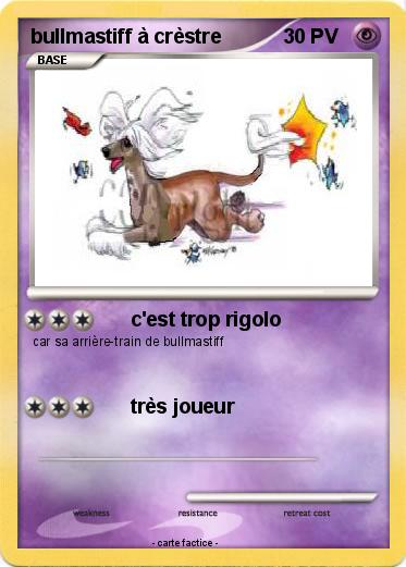 Pokemon bullmastiff à crèstre
