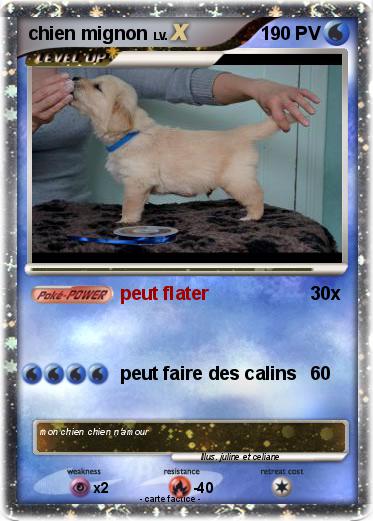 Pokemon chien mignon