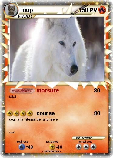 Pokemon loup