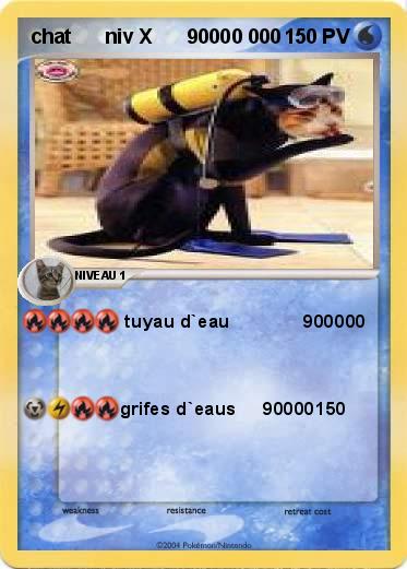 Pokemon chat      niv X      90000 000