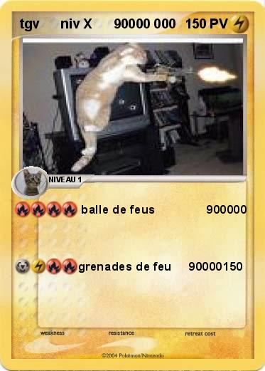 Pokemon tgv      niv X      90000 000