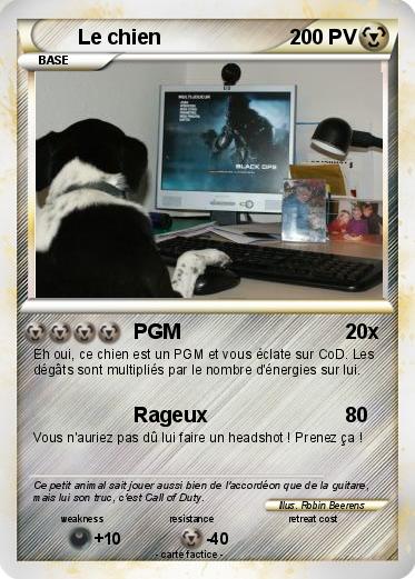 Pokemon Le chien