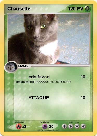 Pokemon Chausette