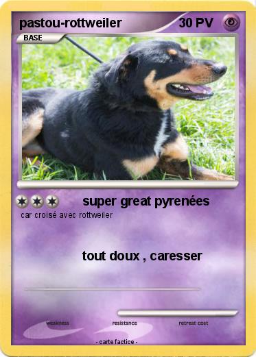 Pokemon pastou-rottweiler