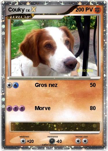 Pokemon Couky