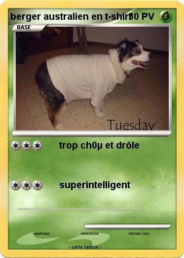 Pokemon berger australien en t-shirt