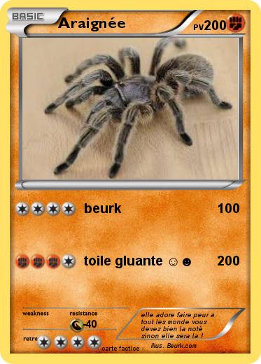 Pokemon Araignée