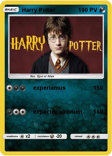 Pokemon Harry Potter