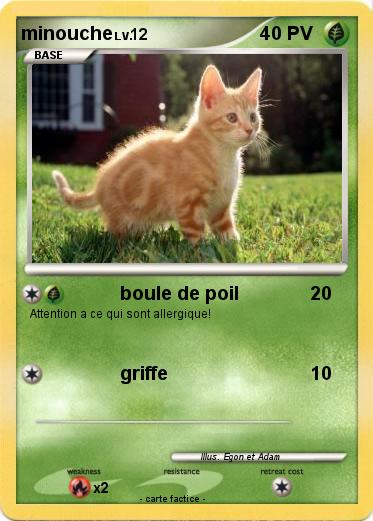 Pokemon minouche