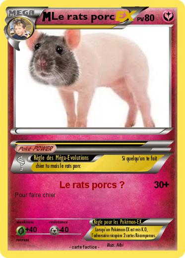 Pokemon Le rats porc