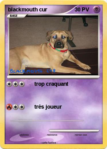 Pokemon blackmouth cur
