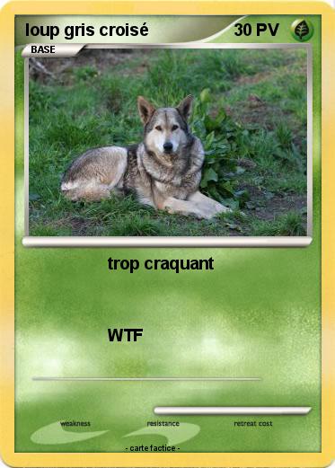 Pokemon loup gris croisé