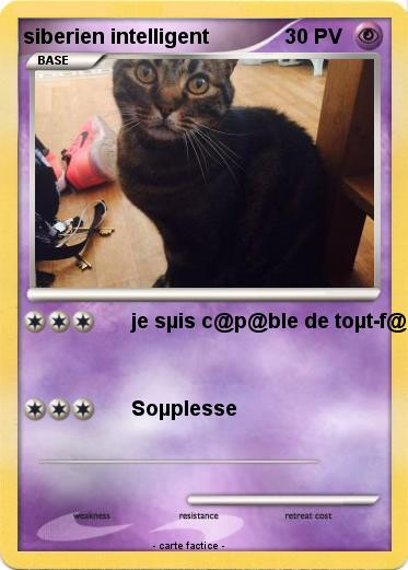 Pokemon siberien intelligent