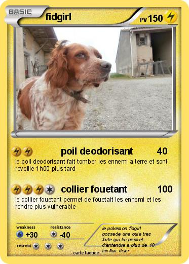 Pokemon fidgirl