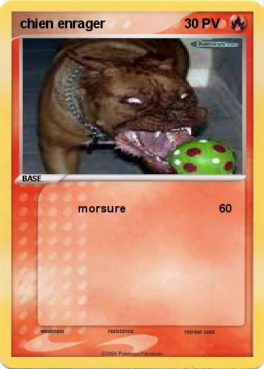 Pokemon chien enrager
