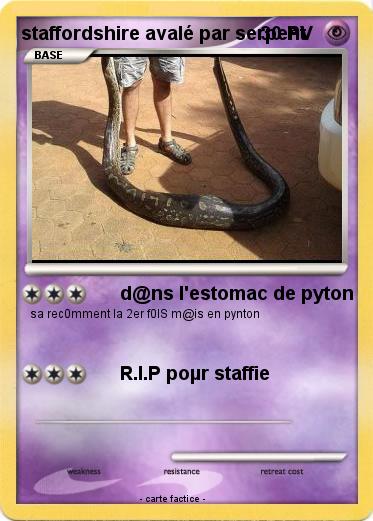 Pokemon staffordshire avalé par serpent