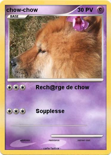 Pokemon chow-chow