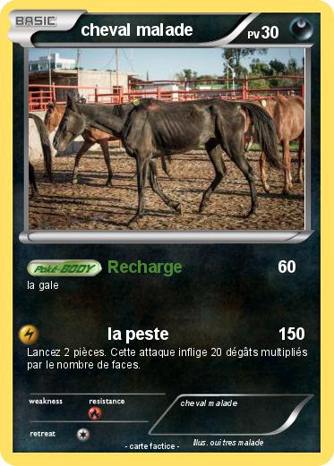 Pokemon cheval malade