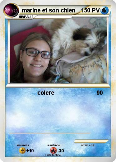 Pokemon marine et son chien