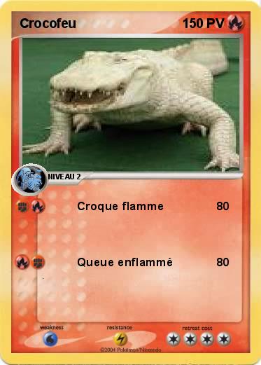 Pokemon Crocofeu