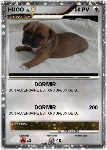 Pokemon HUGO