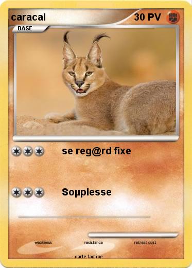 Pokemon caracal