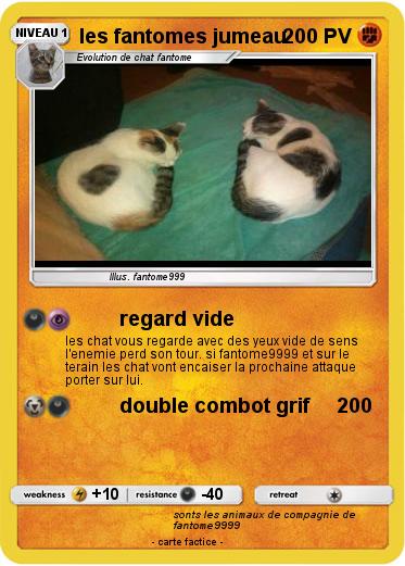 Pokemon les fantomes jumeau
