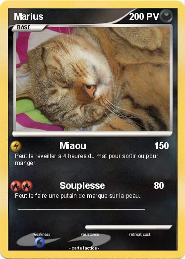 Pokemon Marius