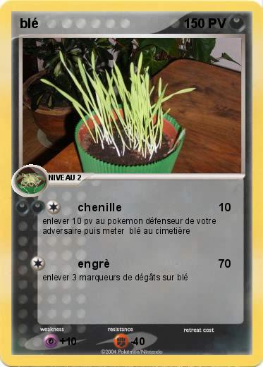 Pokemon blé