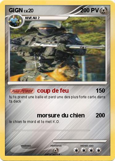 Pokemon GIGN