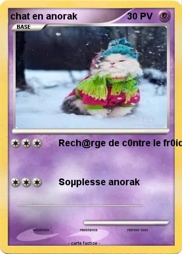 Pokemon chat en anorak