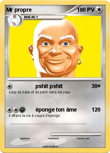 Pokemon Mr propre