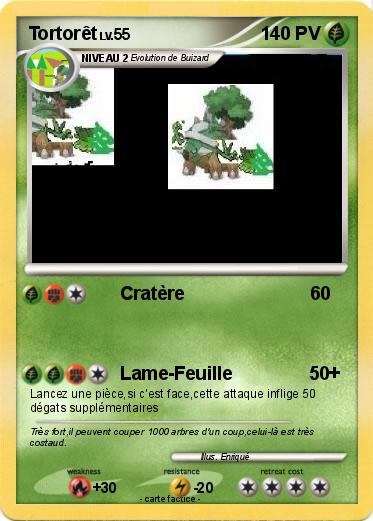 Pokemon Tortorêt