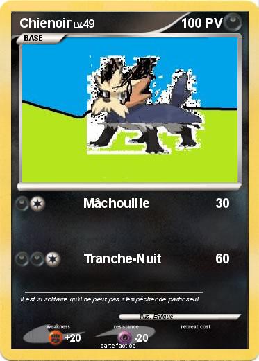 Pokemon Chienoir