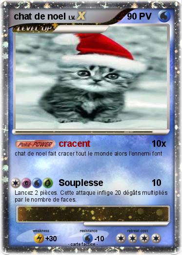 Pokemon chat de noel