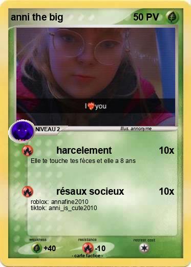 Pokemon anni the big