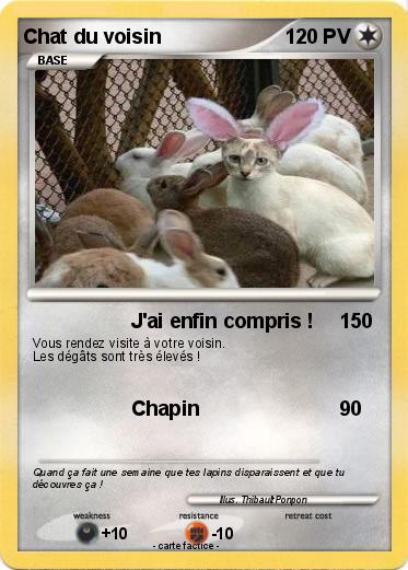 Pokemon Chat du voisin