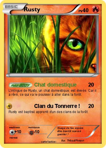 Pokemon Rusty