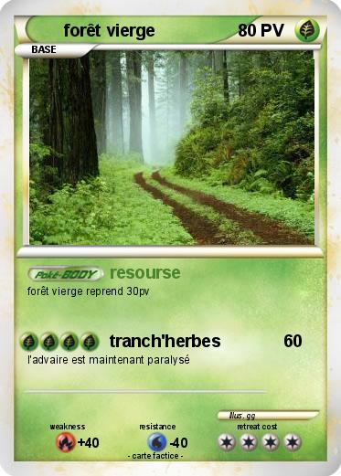 Pokemon forêt vierge