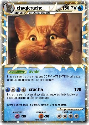 Pokemon chaqicrache