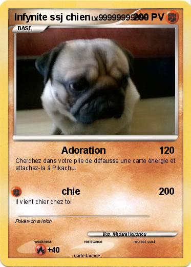 Pokemon Infynite ssj chien