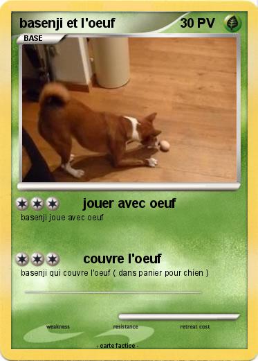 Pokemon basenji et l'oeuf
