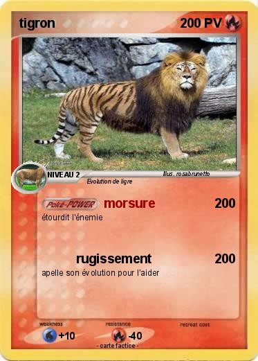 Pokemon tigron