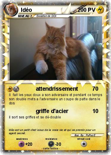 Pokemon Idéo