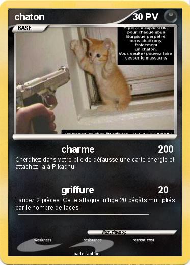 Pokemon chaton