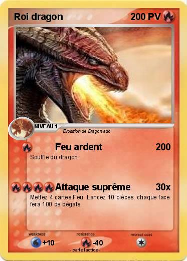 Pokemon Roi dragon