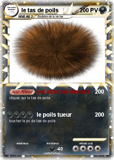 Pokemon le tas de poils