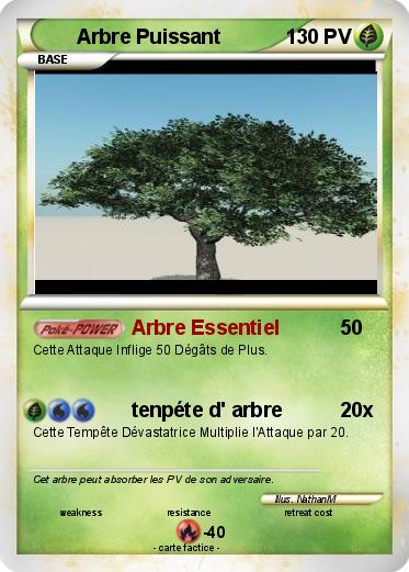 Pokemon Arbre Puissant