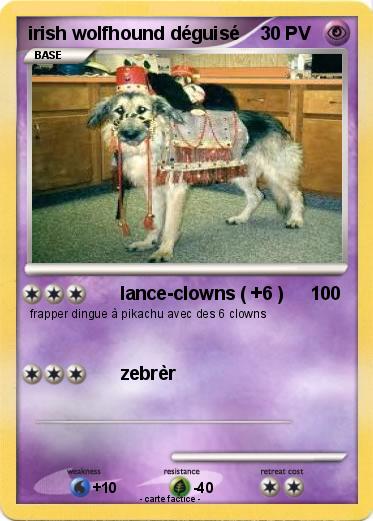 Pokemon irish wolfhound déguisé