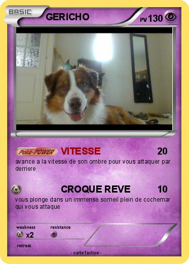 Pokemon GERICHO
